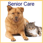 Senior Pet Care Information